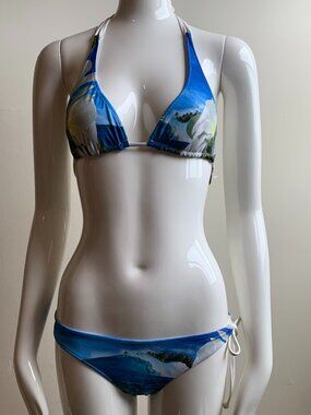 Aaron Chang plumeria white & blue floral bikini
